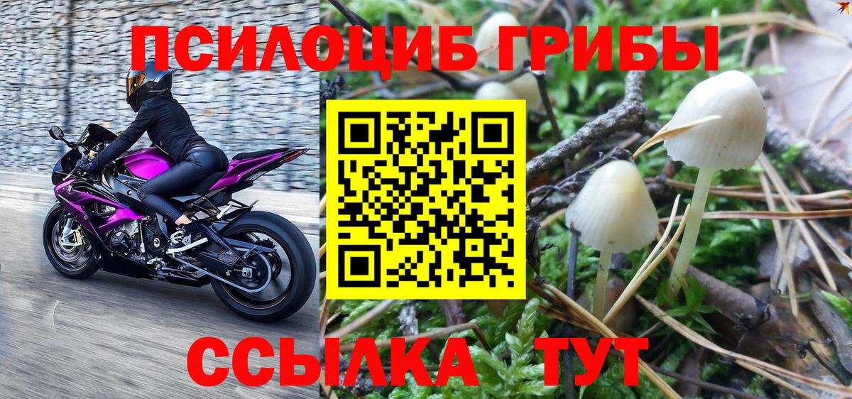 Курган  Галлюциногенные грибы Psilocybe  Галлюциногенные грибы MAGIC MUSHROOMS  Вход с VPN 