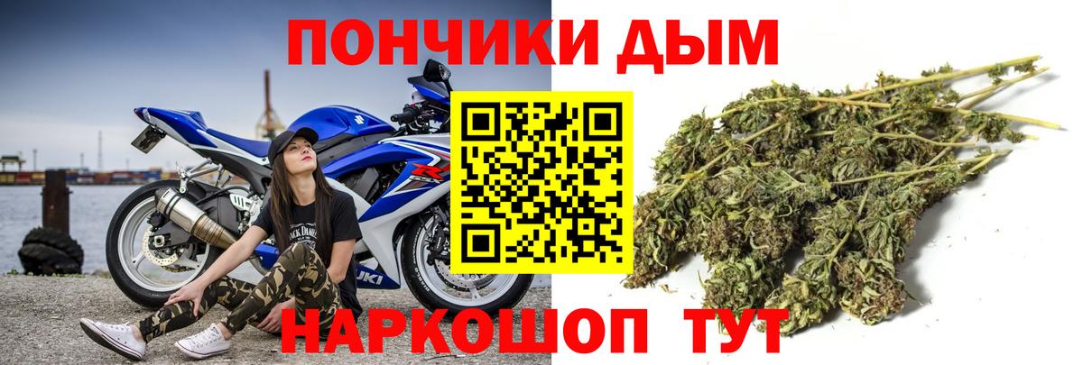 Шишки марихуана план Курган